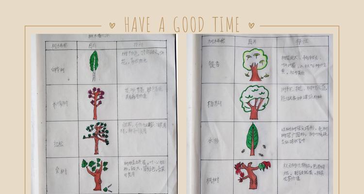 玻璃翠的浇水技巧（春夏秋冬四季不同）