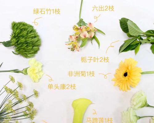 如何合理催花菠萝蜜（催花时间）