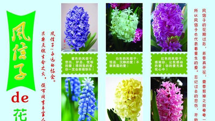 如何合理催花菠萝蜜（催花时间）