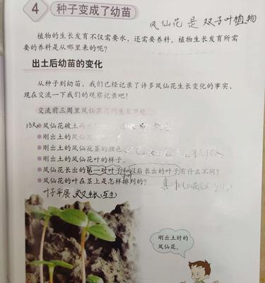 菠萝蜜的种子可以种吗（菠萝蜜种子的发芽和栽培技巧）