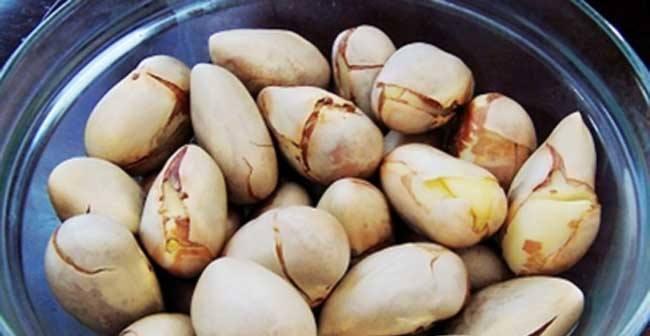 菠萝蜜果核能否食用（解密菠萝蜜果核的真相）