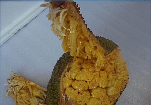 菠萝蜜与榴莲的区别（三方面对比）