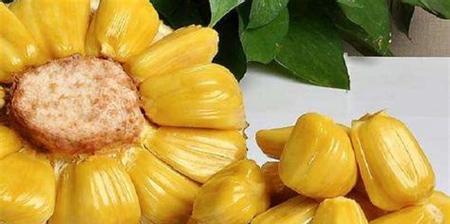 菠萝蜜的冷冻保存技巧（菠萝蜜冷冻保存）