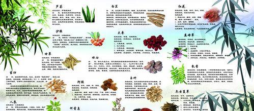 不老莓的神奇功效与食用方法（探秘不老莓的健康价值与味道享受）