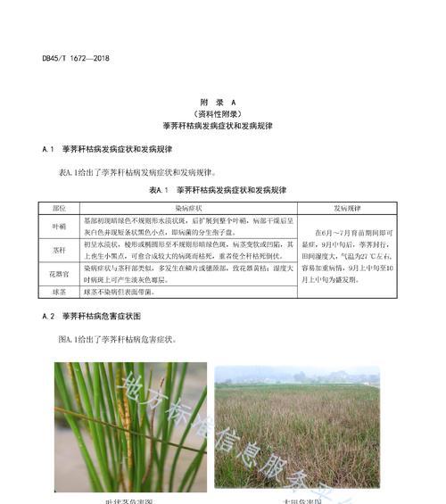 番石榴病虫害防治方法与技术措施（建立多管齐下的综合防治体系）