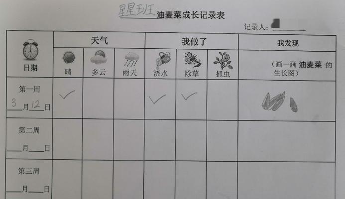 非洲菊种子的最佳播种时间（如何在合适的时间里播种非洲菊种子）
