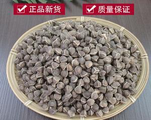 非洲辣木籽的神奇功效与作用（揭秘非洲辣木籽对身体的惊人影响）