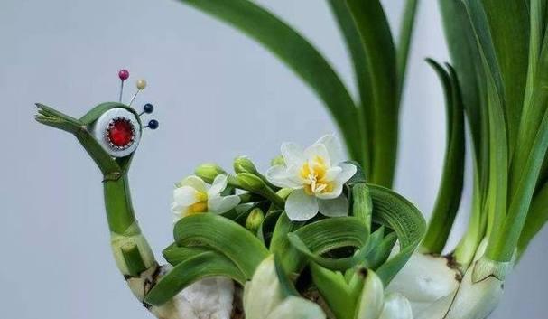 水仙花的花期及其象征意义（春天中的芳香之约）