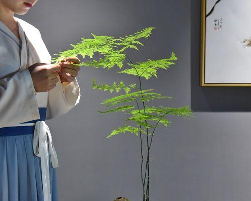 文竹花语（探索文竹花的神秘世界）