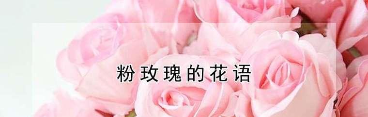 粉玫瑰的花语与意义（探寻粉玫瑰所代表的爱）