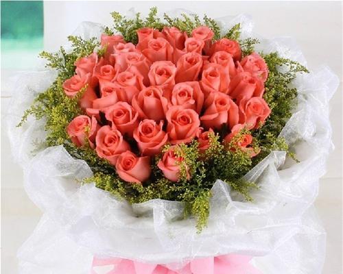 粉玫瑰花语——爱与守护（用一朵粉玫瑰传递浪漫与温馨）
