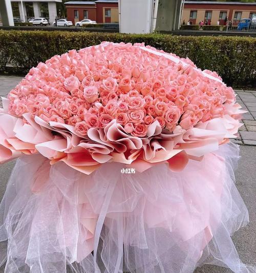 粉色玫瑰花的美丽与象征意义（探寻粉色玫瑰花的浪漫之美）