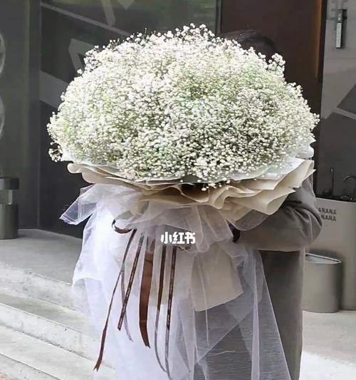 花白色满天星的寓意（探寻满天星背后的美好寓意）