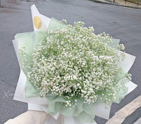 满天星的象征与意义（探索满天星的美丽与神秘）