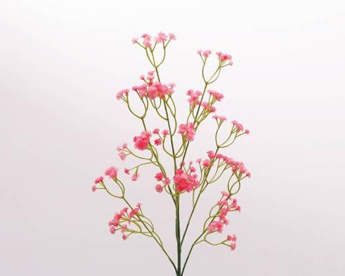 满天星花的花语与寓意（一朵满天星）