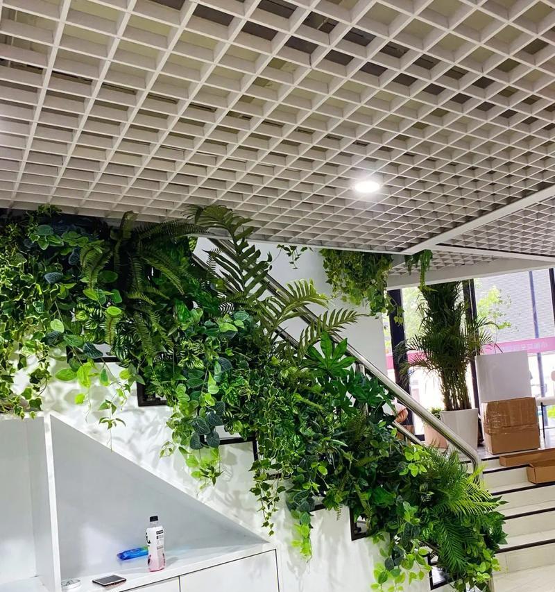 楼梯口适合放什么植物（打造居家自然氧吧）