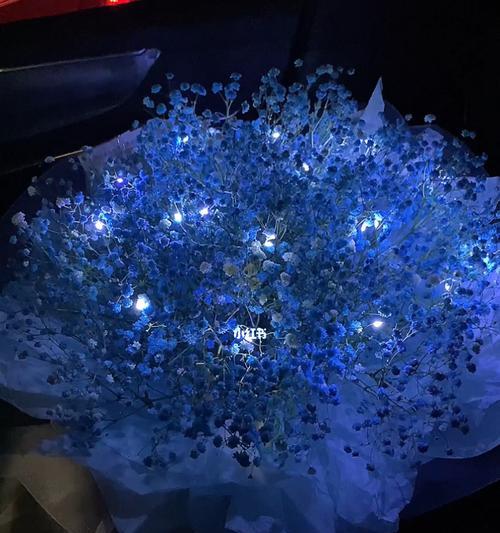 蓝色满天星的象征意义及寓意解读（星空中闪烁的希望与梦想）