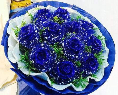 蓝色妖姬花语的寓意及象征意义（解读蓝色妖姬花的美与神秘）