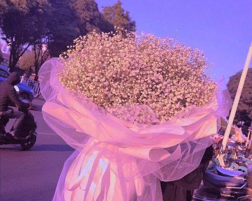 满天星花语之美（用花语解读满天星的鲜艳色彩和深刻寓意）