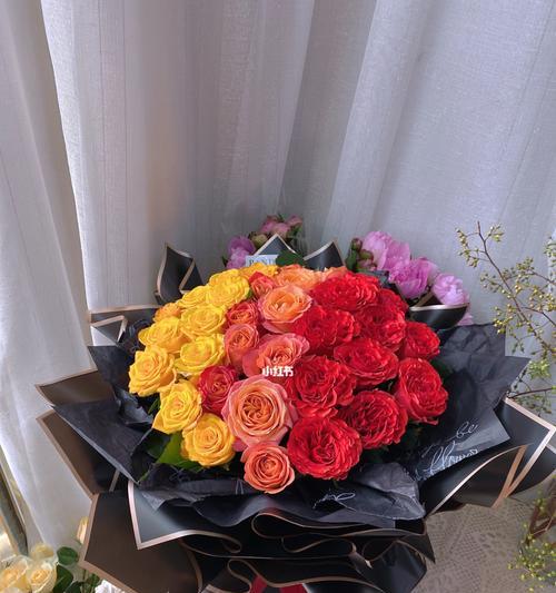 33朵玫瑰的代表意义（传递爱意的花束——33朵玫瑰花的含义）