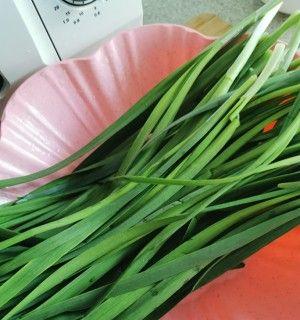 如何正确清洗韭菜（掌握清洗技巧）