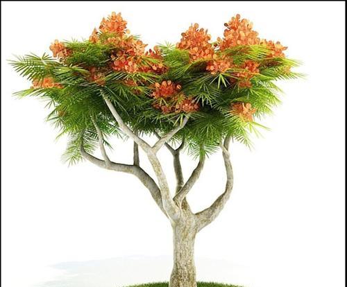 适合造型的树种有哪些（打造美丽园林的必备树种大盘点）
