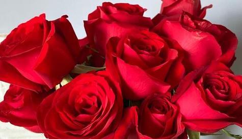 5朵玫瑰花的花语是什么意思？5朵玫瑰花的寓意是什么？