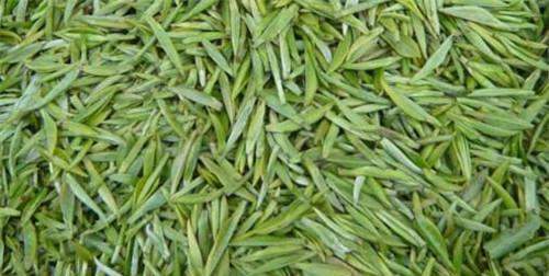 白毛尖属于什么茶？白毛尖的茶叶分类是什么？