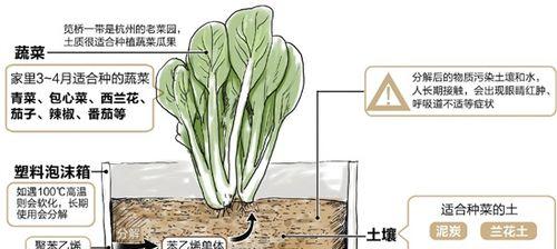 白菜几天浇一次水？白菜的浇水频率是什么？