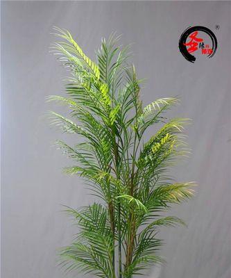 餐厅适合放什么植物？适合餐厅摆放的植物有哪些？