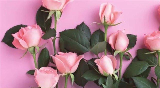 表示心动的花花语是代表心动的花？心动的花的花语是什么？