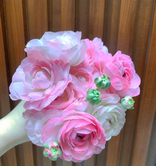 粉色牡丹花的寓意是什么？粉色牡丹的寓意是什么？