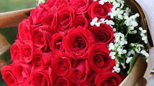 33朵红玫瑰的花语是什么？33朵红玫瑰的寓意是什么？