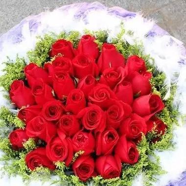 33朵红玫瑰的花语是什么？33朵红玫瑰的寓意是什么？