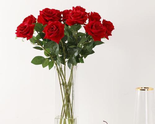 十一朵玫瑰花代表什么？11朵玫瑰的寓意是什么？