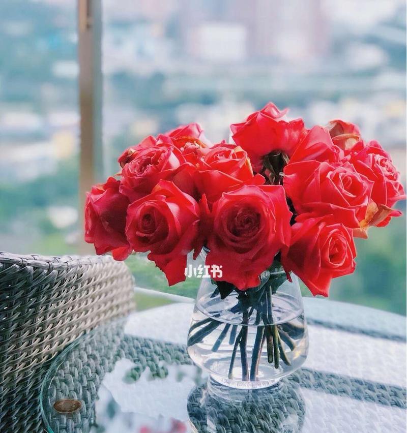 十一朵玫瑰花代表什么？11朵玫瑰的寓意是什么？
