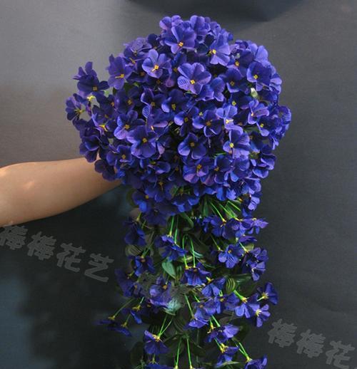 蓝色紫罗兰花语是什么？蓝色紫罗兰的寓意是什么？