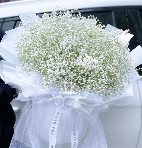 白色满天星的花语是什么？白色满天星有哪些寓意？
