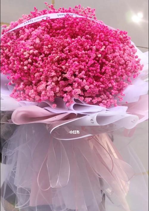 满天星的花语是什么？满天星有哪些传说？