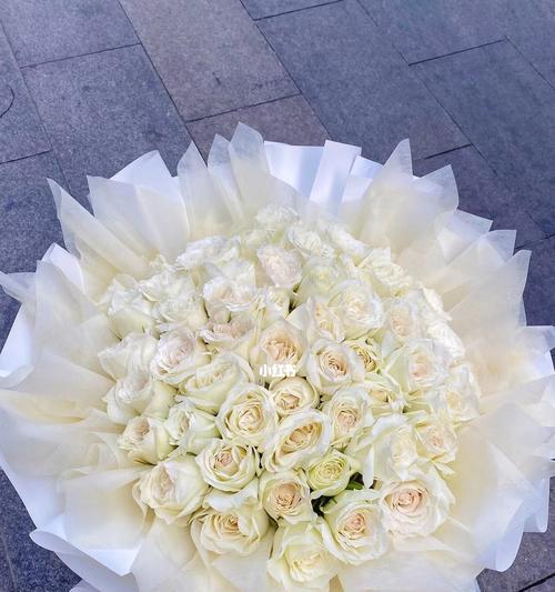 白玫瑰的花语是什么？白玫瑰代表什么含义？