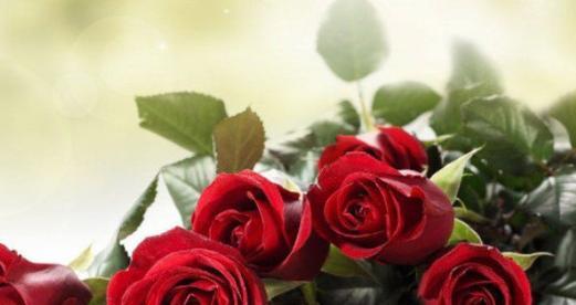 代表“等你”的花是什么？等你的花语是什么？