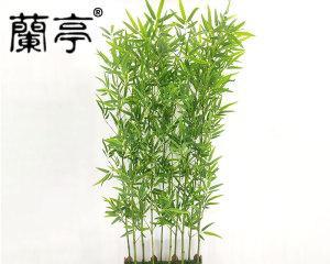 隔断柜适合放什么植物？隔断柜养花有哪些推荐？