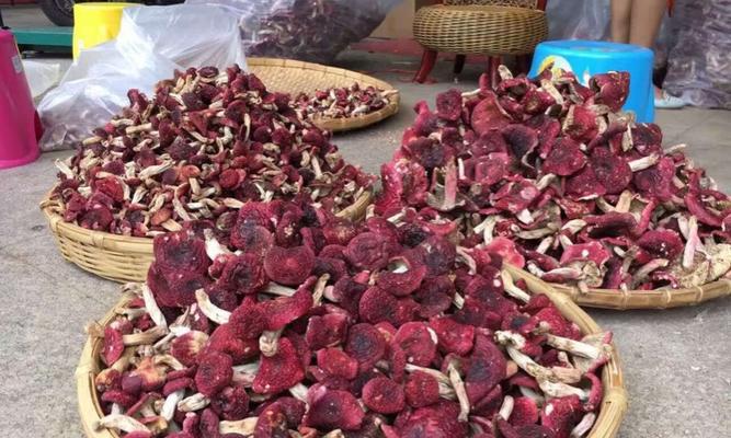 福建红菇哪里产的最好？福建红菇的最佳产地是哪里？