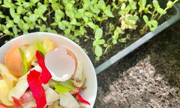 剩菜可以做肥料吗？剩菜做肥料的方法和注意事项是什么？