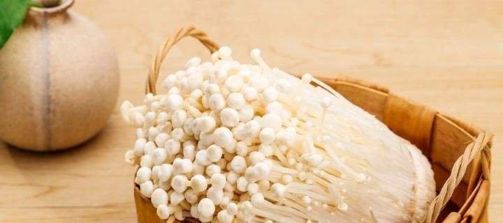 蘑菇能放冰箱吗？蘑菇保存方法和注意事项是什么？