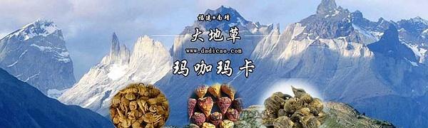 玛咖的生长环境是怎样的？玛咖的主要产地是哪里？