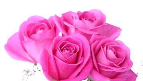 五朵玫瑰花代表什么意思？花语背后的含义是什么？