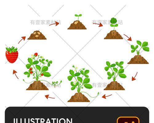 草莓长虫子了怎么办？有效防治方法有哪些？