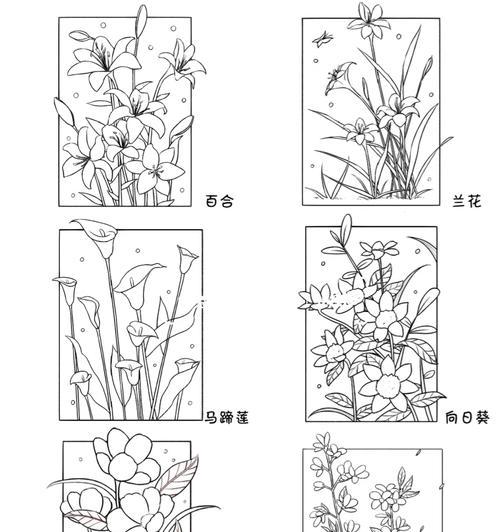 花草树木线稿与成品的区别是什么意思？它们各自代表什么？