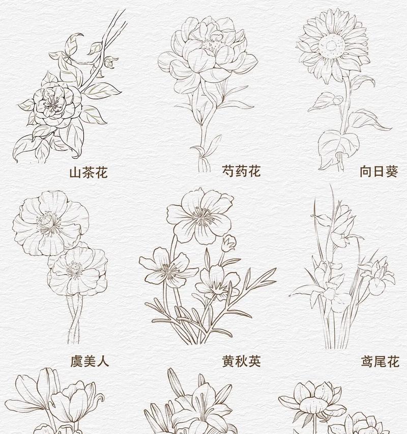 花草树木线稿与成品的区别是什么意思？它们各自代表什么？